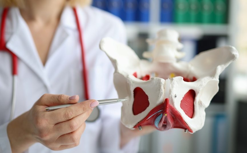 Pelvic Pain Assessment